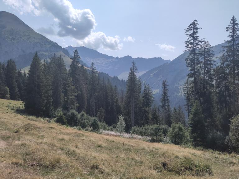 Hike: Aeschiried - Brunni