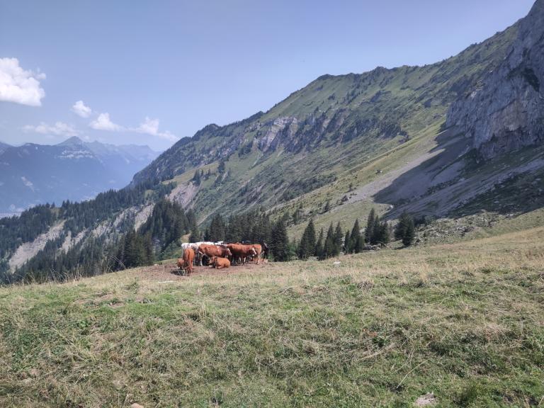 Hike: Aeschiried - Brunni
