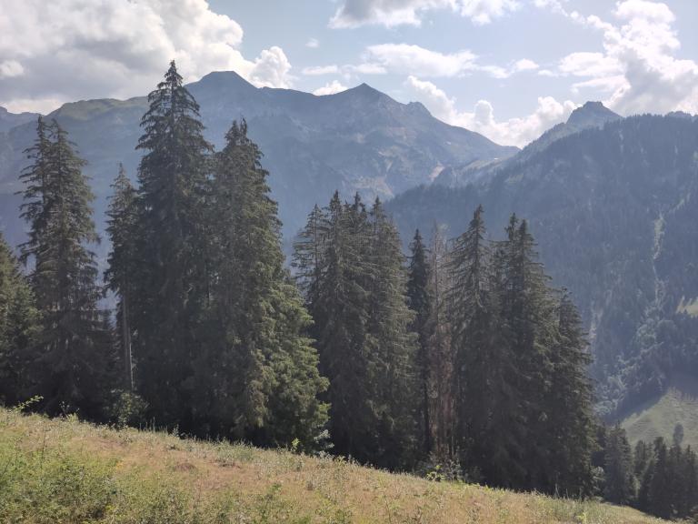 Hike: Aeschiried - Brunni