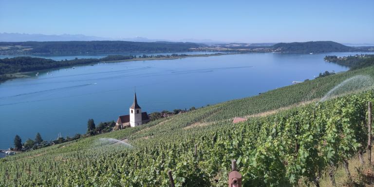 View over Lake Biel